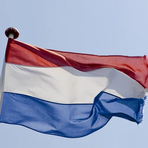 Afbeelding van De Rechtse Partij Nederland is een fluitje van een cent