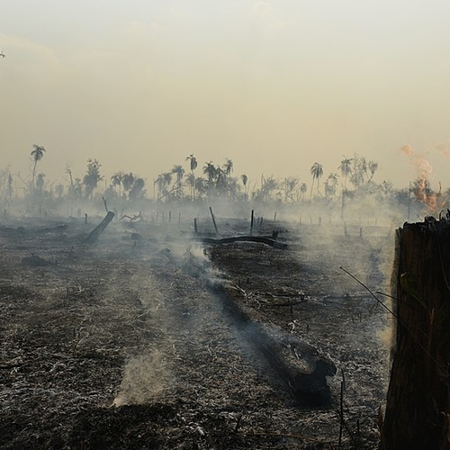 Europa wil duurzaam voorbeeld zijn, maar laat de Amazone platbranden