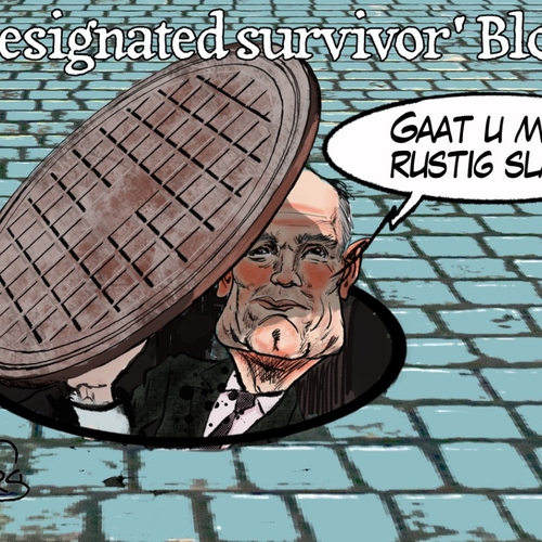 Designated survivor