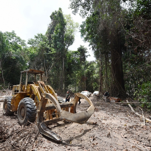Afbeelding van Ontbossing in Amazone breekt record