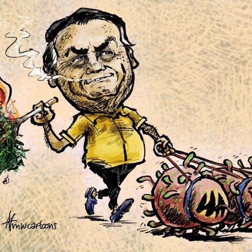 Afbeelding van Bolsonaro zet ontbossing voort