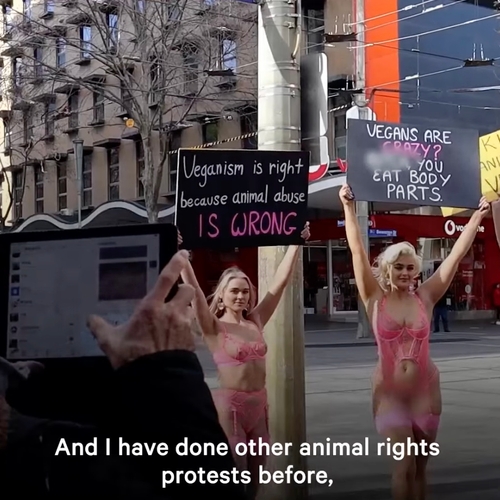 Lingeriemodellen bestrijden de zuivel- en vleesindustrie in werkkleding: 'seks verkoopt ook idealen'