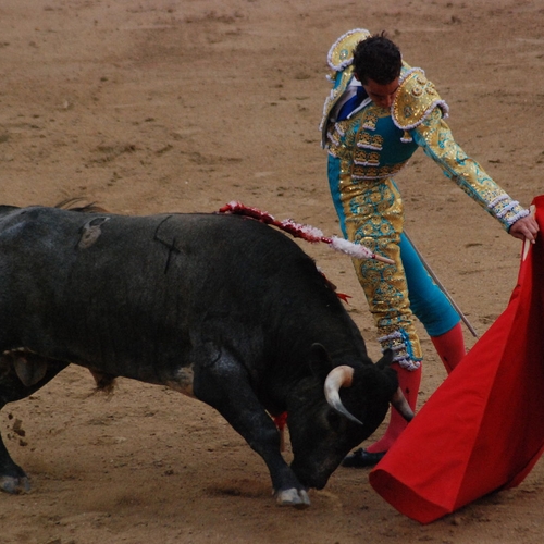 Coronacrisis betekent mogelijk einde stierenvechten in Spanje