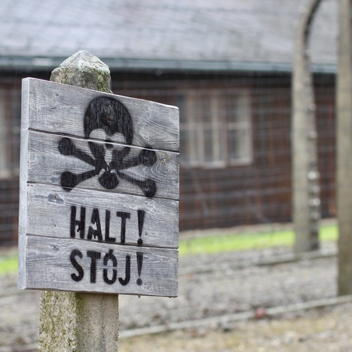 75 jaar na de bevrijding van Auschwitz is het extreemrechtse weer gewoon