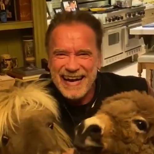 Arnold Schwarzenegger laat zien hoe je het thuis gezellig maakt