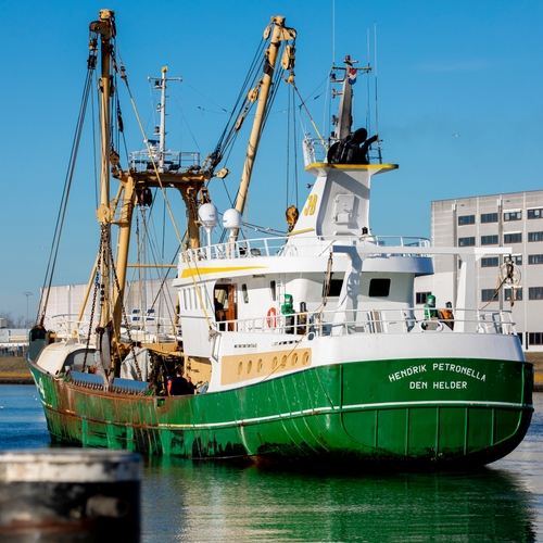 Nederland loog Brussel voor om pulsvisvergunningen binnen te hengelen