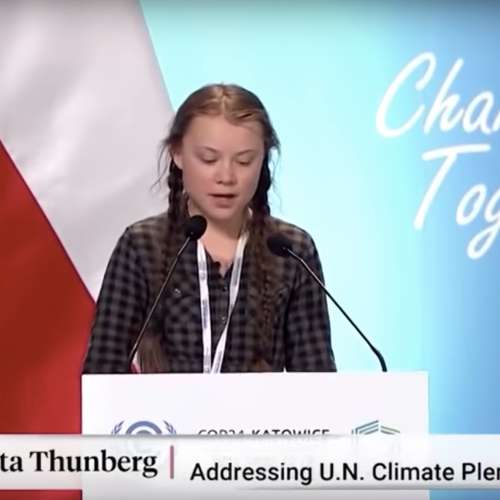Afbeelding van Greta Thunberg genomineerd voor Nobelprijs voor de Vrede