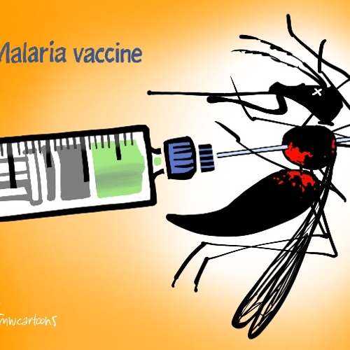 Eerste malariavaccin goedgekeurd