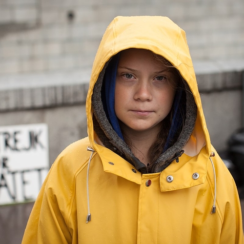 Greta Thunberg interviewt Attenborough over klimaat via Skype