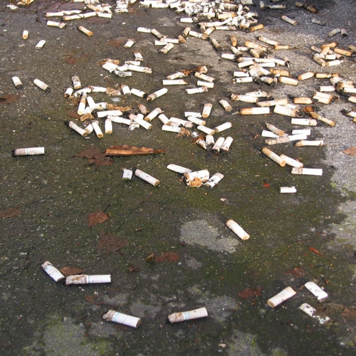 CDA blokkeert onverwachts verbod op tabakslobby in parlement