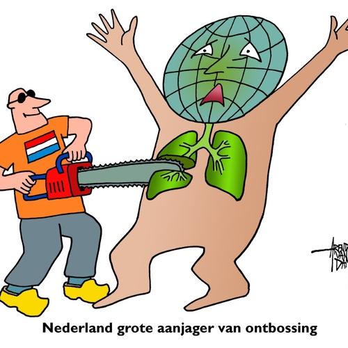 Nederland grote aanjager van ontbossing