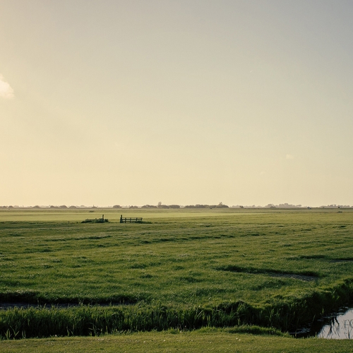 GroenLinks: dring invloed boeren op waterschappen terug