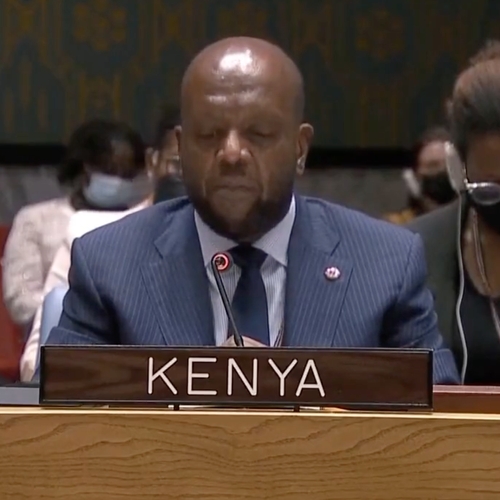 Afbeelding van Ambassadeur Kenia: Aanval op Oekraïne lijkt op kolonialisme in Afrika