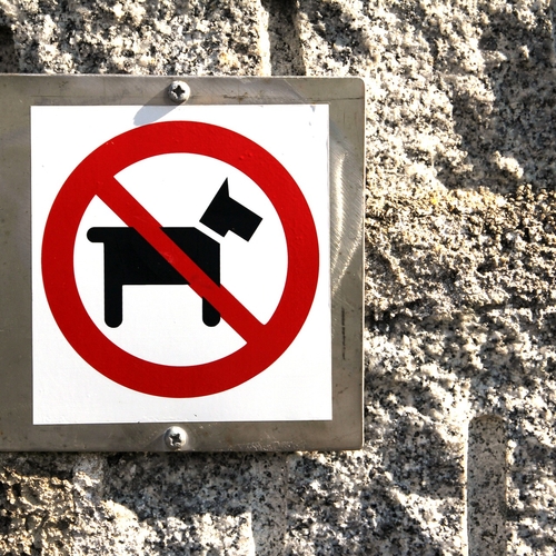 Sevilla: hondenbezitters moeten ontsmettingsmiddel mee