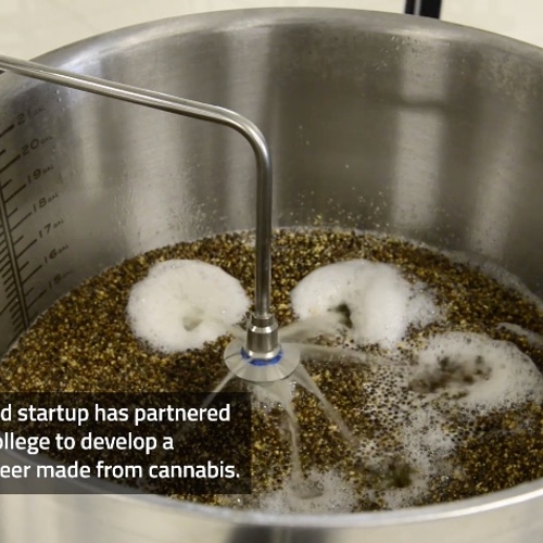 Canada komt met alcoholvrij cannabisbier waar je high van wordt