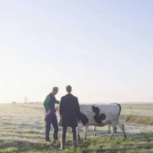 De boer die het anders doet en de natuur spaart