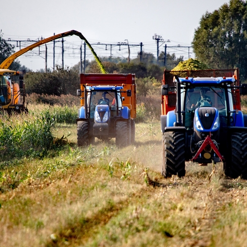 Afbeelding van EU buigt voor boerenlobby: landbouwhervorming mislukt
