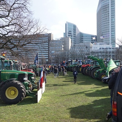 Als de boeren Nederland weer overhoop zetten, pak ze dan op hun mestfraude