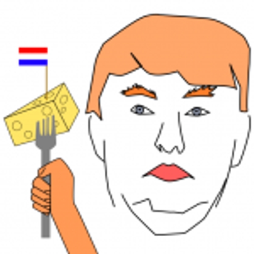 Wordt Nederland ook een Trumpland?
