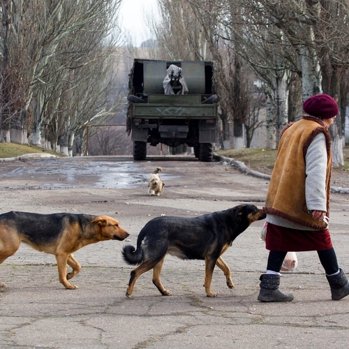 De ongelijke behandeling van dieren uit Oekraïne