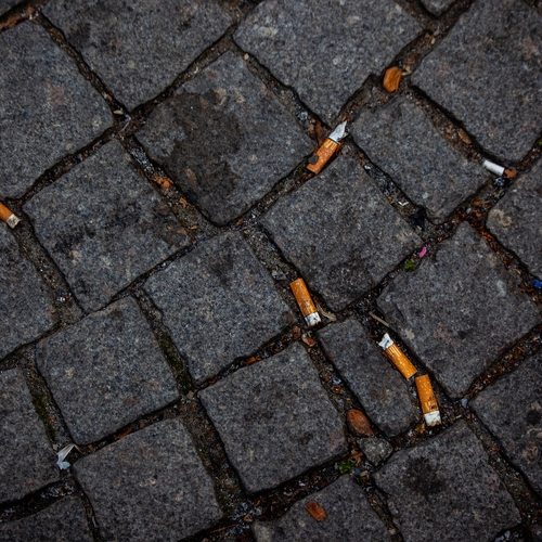 Peukenopruimers helpen Philip Morris ongewild aan waardevolle data