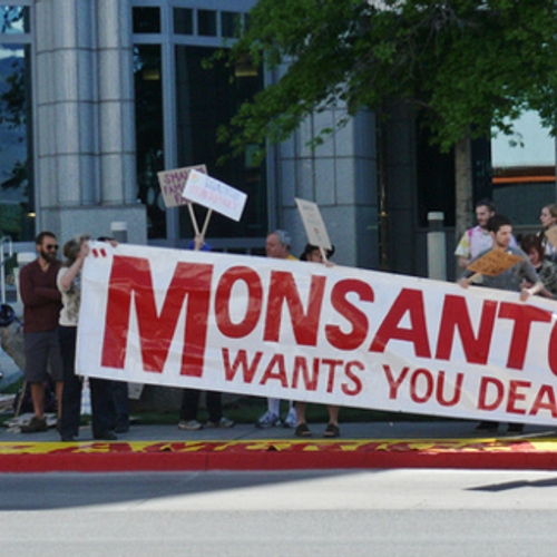 Monsanto en de banaliteit van het kwaad