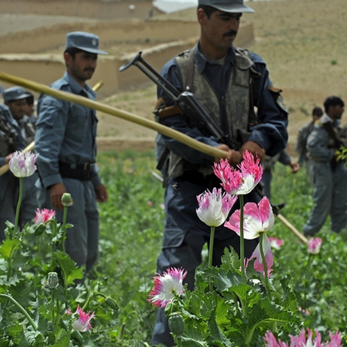 Afghanistan wordt bedreigd door meer dan alleen terreur