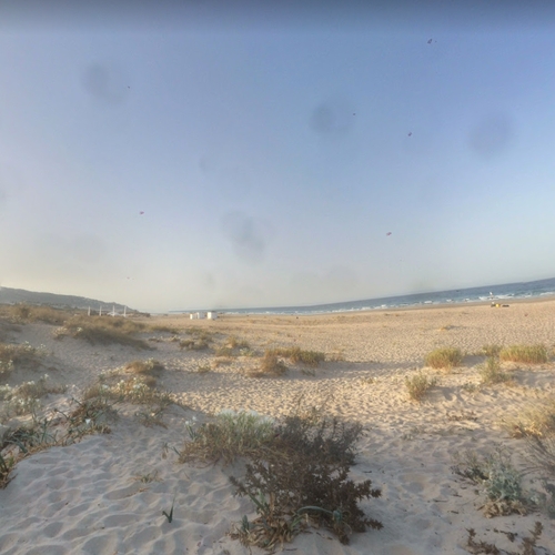 Spaanse stad zet bleek in om strand coronavrij te maken, sloopt ecosysteem
