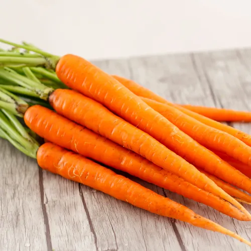 Bevrijdingsfeest moet geen economisch model zijn