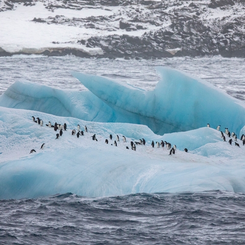 Antarctica voor het eerst getroffen door 'hittegolf'
