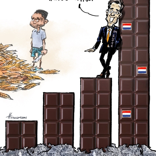 Afbeelding van Nederland is de grootste importeur van cacao