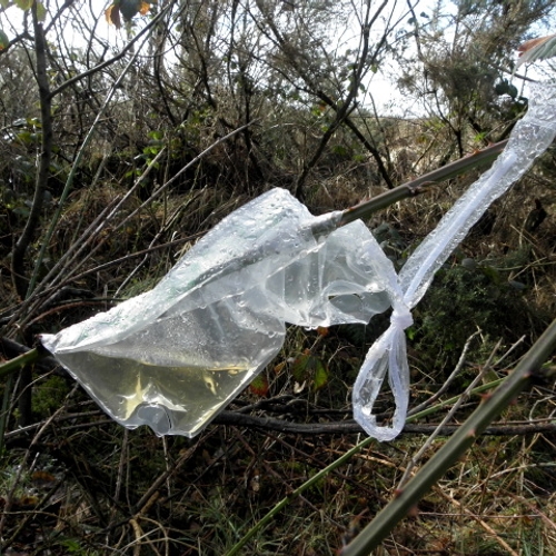 Afbeelding van 'Afbreekbare' plastic zakjes breken zelfs na jaren in zee amper af