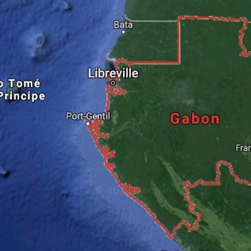 Afbeelding van Noorwegen betaalt Gabon 150 miljoen dollar voor behoud regenwoud