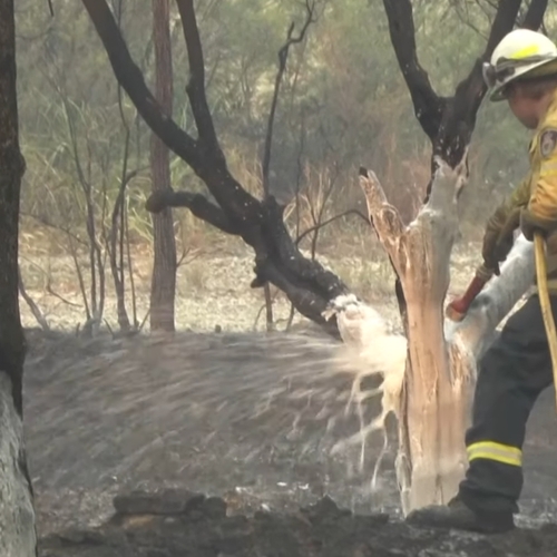 Noodtoestand in Sydney door aanhoudende bosbranden