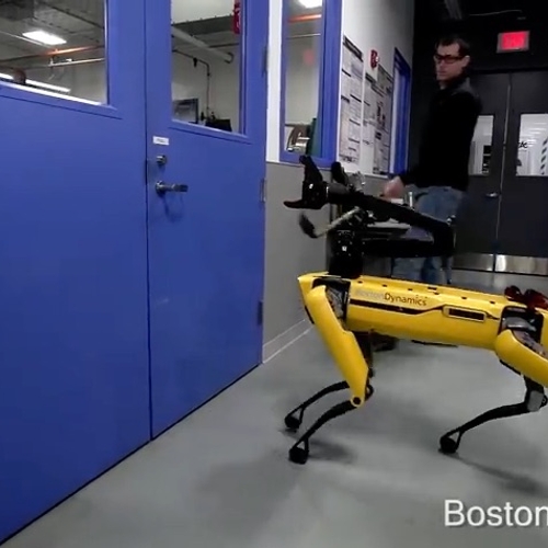 Robothond leert mensen van zich af te slaan