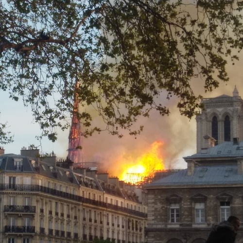 De vuurzee in de Notre-Dame staat niet op zich