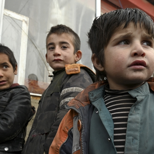 Afbeelding van Een jaar na de machtsovername van Kabul: miljoenen Afghanen in hongersnood