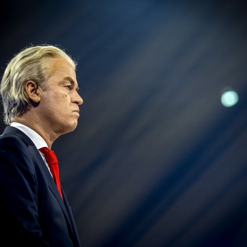 Wilders gaat onze laatste huismussen vermoorden!