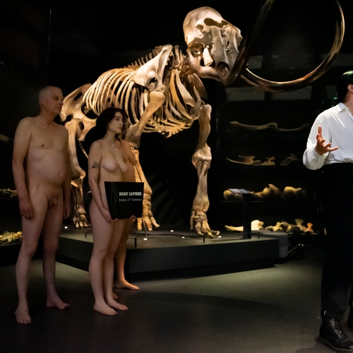 Klimaatactivisten slaan toe in Leids natuurhistorisch museum Naturalis
