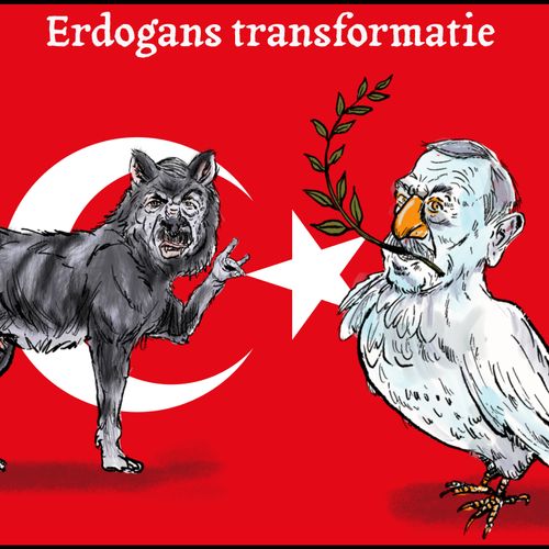 Afbeelding van De transformatie van Erdogan