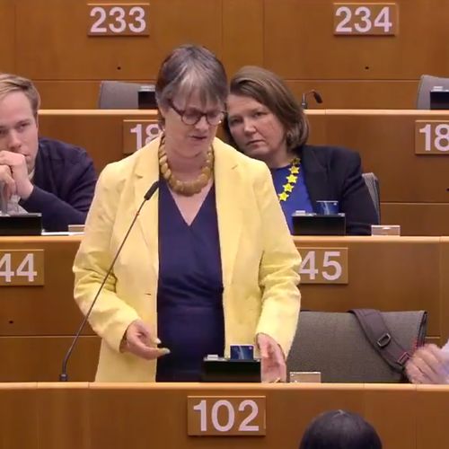 Afbeelding van Tranen in Europarlement voor stemming over Brexit-wet