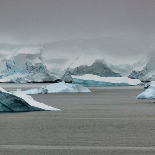 Afbeelding van Microplastics aangetroffen in vers gevallen sneeuw op Antarctica