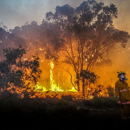 Afbeelding van Komende jaren fors meer natuurbranden als gevolg van klimaatcrisis