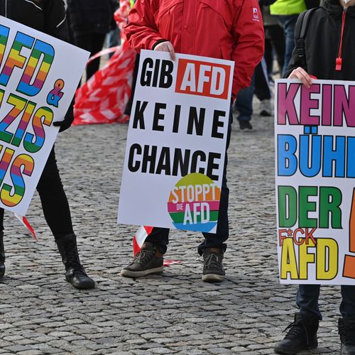 Afbeelding van Duitse inlichtingendienst beschouwt AfD als gevaar voor de democratie