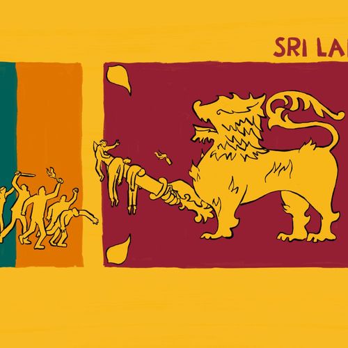 Afbeelding van Protesten in Sri Lanka