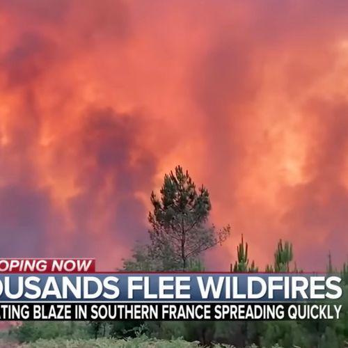 Afbeelding van Frankrijk krijgt internationale hulp in strijd tegen toenemende bosbranden