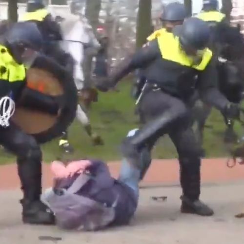 Afbeelding van VN-rapporteur: Nederlandse politie schuldig aan marteling bij coronaprotesten