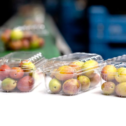 Afbeelding van Spanje verbiedt plastic verpakkingen voor fruit en groente
