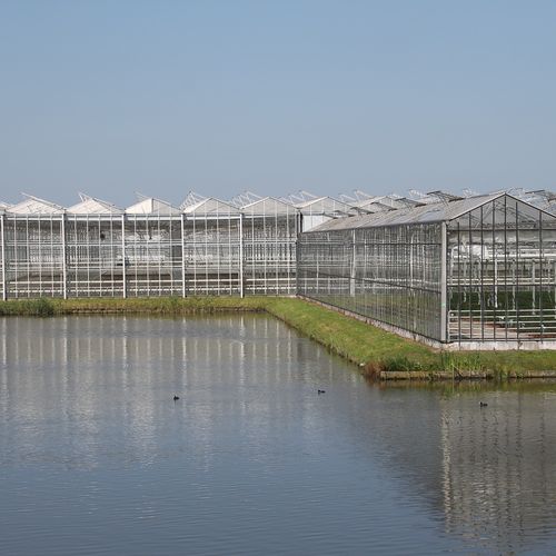 Afbeelding van Glastuinbouw toe aan een reset: verticale landbouw?