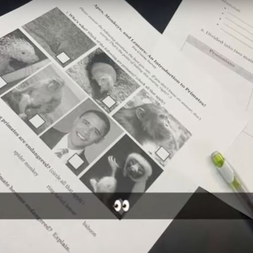Afbeelding van Docent schotelt leerlingen racistische opdracht voor waarin Obama met aap vergeleken wordt